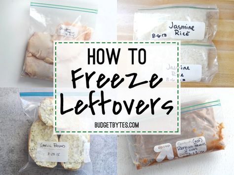 How to Freeze Leftovers Leftover Dressing, Freeze Leftovers, Freezing Leftovers, Budget Bytes, Quick Start Guide, My Wallet, Easy One Pot Meals, Post Workout Food, Freezer Cooking