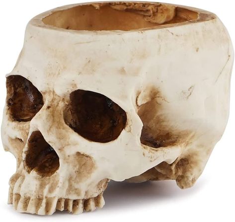 Halloween Antiques, Skull Planter, Skull Model, Skull Statue, Resin Skull, Desk Decorations, Cheap Halloween, White Planters, Office Desk Decor