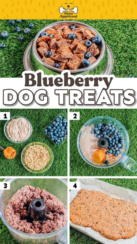 With just four ingredients, this homemade blueberry dog treats recipe is crunchy, healthy, and dogs love them! Just blend, shape, and bake into crispy perfection. Great for using as training rewards or as the occasional treat for your dog. Homemade Dog Treats For Puppies, Blueberry Dog Treat Recipe, Blueberry Dog Treats, Dog Treats Homemade, Dogs Treats, Dog Treats Homemade Easy, Easy Dog Treat Recipes, Easy Dog Treats, Healthy Dog Treats Homemade