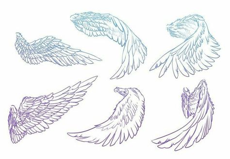 Types Of Wings, Wings Sketch, Elf Drawings, Tree Drawings Pencil, Wings Drawing, Wings Art, Art Sketches Pencil, Art Poses, Sketchbook Art Inspiration