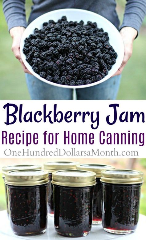 Canning Blackberry Recipe, Water Canning, Canning Blackberries, Attainable Sustainable, Blackberry Jam Recipes, Canning Jam Recipes, Preserving Recipes, Easy Canning, Canning 101