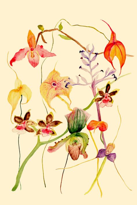 Orchids on Artfully Walls Orchids Painting, Creek House, Artfully Walls, Exotic Orchids, Artist Wall, Mill Creek, Affordable Art Prints, Photo Canvas, Botanical Illustration