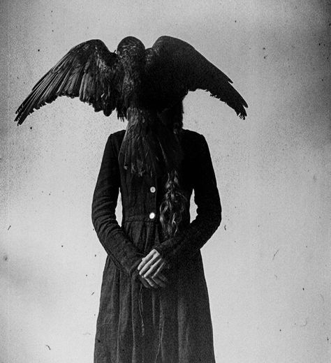 Laura Makabresku, Miss Peregrines Home For Peculiar, Raven Bird, Miss Peregrine, Yennefer Of Vengerberg, Peculiar Children, Home For Peculiar Children, Rpg Characters, Peregrine