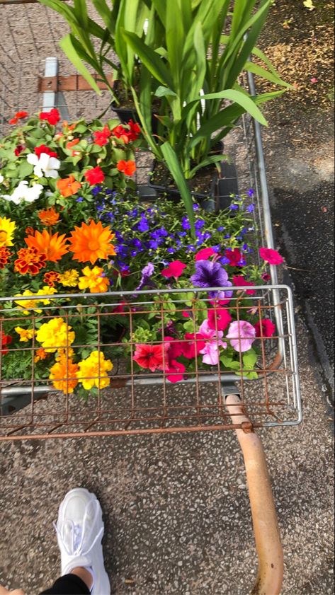 garden centre, colourful, shopping, trolley, nature, garden, inspo, inspiration, spring, summer, sommer, sun, flower, aesthetic Garden Centre Aesthetic, Garden Inspo, Shopping Trolley, Flower Nursery, Garden Centre, Nature Garden, Flower Farm, Garden Center, Spring Summer