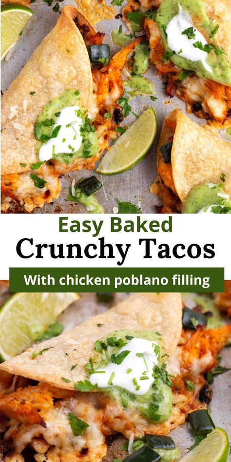 Make dinner a breeze with these easy crunchy baked chicken tacos! Stuffed with seasoned chicken breast, poblanos, and onions, then topped with gooey cheese, these tacos are baked to crispy perfection in the oven. Perfect for a quick and delicious weeknight dinner! Crispy Pablo Chicken Tacos, Baked Ground Chicken Tacos, Crispy Poblano Chicken Tacos, Chicken Poblano Tacos, Poblano Chicken Tacos, Baked Chicken Tacos Oven, Baked Crispy Chicken Tacos, Crispy Chicken Tacos Oven Baked, Chicken Baked Tacos