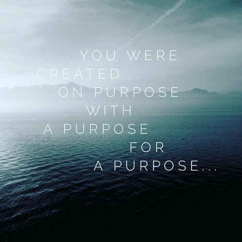 You Were Created For A Purpose, Purpose Quotes Inspiration, Your Purpose, On Purpose, Created For A Purpose, Pull Quotes, Purpose Quotes, Purposeful Life, Find Your Purpose