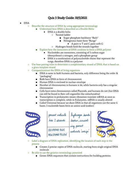 Biology 101 Study Guides, Nitrogenous Base, University List, Dna Replication, Cell Organelles, Dna Molecule, Dna Sequence, Human Dna, Double Helix