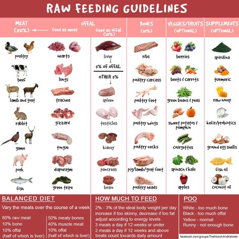 Raw dog food guidance chart Cane Corso Raw Diet, Raw Dog Food Meal Prep, Raw Feeding Cats, Dog Raw Food, Raw Diet For Dogs, Dog Raw Diet, Raw Feeding For Dogs, Raw Dog Food Diet, Raw Pet Food