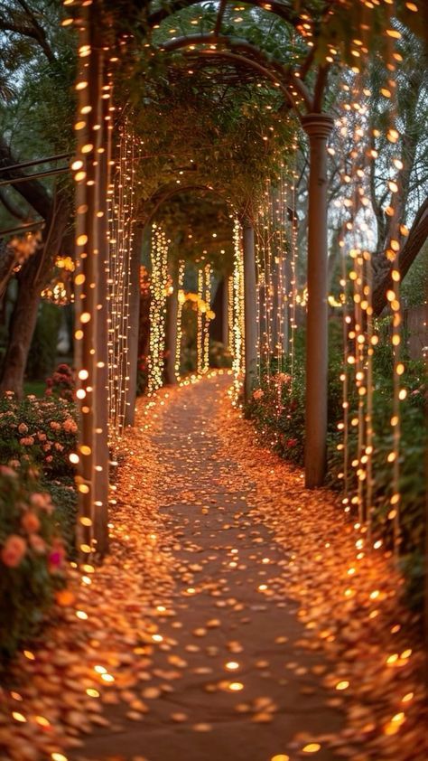 Fall Lights Wallpaper, August Garden Wedding, Places To Propose Ideas, Proposal Ideas Garden, Fall Wedding Aesthetic Ideas, Fairytail Wedding Decorations, Wedding Ideas Reception Decoration, Private Proposal Ideas Romantic, Wedding Hanging Lights