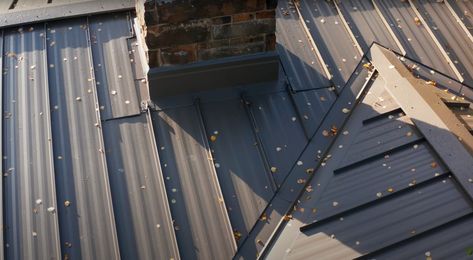 Metal Roofing Maintenance: How to Best Care for Your Metal Roof Black Steel Roof, Metal Roof Repair, Metal Roof Colors, Steel Roof, Metal Roofing, Roof Colors, Roof Repair, Metal Roof, Learning Centers