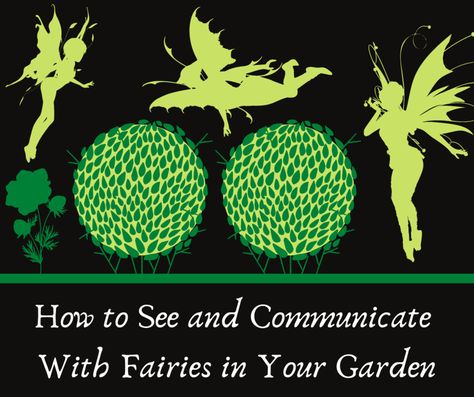 Do you wish to invite fairies into your garden to observe and visit with? Look here for tips on how to attract and find the Wee folk in your own backyard! Faerie Ring, Midsummer's Eve, Fae Folk, The Fae, Wee Folk, Protect Nature, Nature Spirits, Good Neighbor, Fairy Book