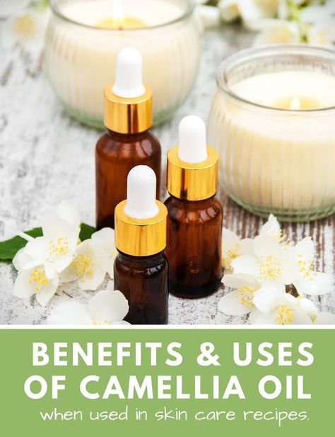 Usage & Benefits of Camellia Oil (Tea Seed Oil) in Skin Care for Natural Beauty. 6 Great Summer Beauty Tips Plus 12 Summer Skin Care Recipes for Dry Skin with Camellia Seed Oil. Summer Skin Care, Summer Beauty Tips, Sugar Scrub Recipe, Camellia Oil, Oil Skin Care, Summer Skincare, Summer Skin, Skin Care Recipes, Free Life