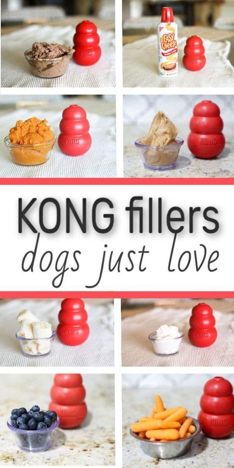 King Fillers For Puppies, Aussalier Full Grown, Best Treats For Puppies, Puppy Hacks Diy, Dog Food Puzzles, Kong Recipes For Dogs, Frozen Kong Recipes Dogs, Lickimat Recipes, Long Lasting Dog Treats Homemade