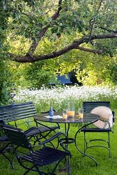 Seating area under Apple tree underplanted with Leucanthemum vulgaris Outdoor Seating Area Under Tree, Seating Area Under Tree, Seating Under Tree, Under Tree Seating Area, Full Sun Garden, River Rock Garden, Pallet Garden Furniture, Garden Seating Area, Healing Garden