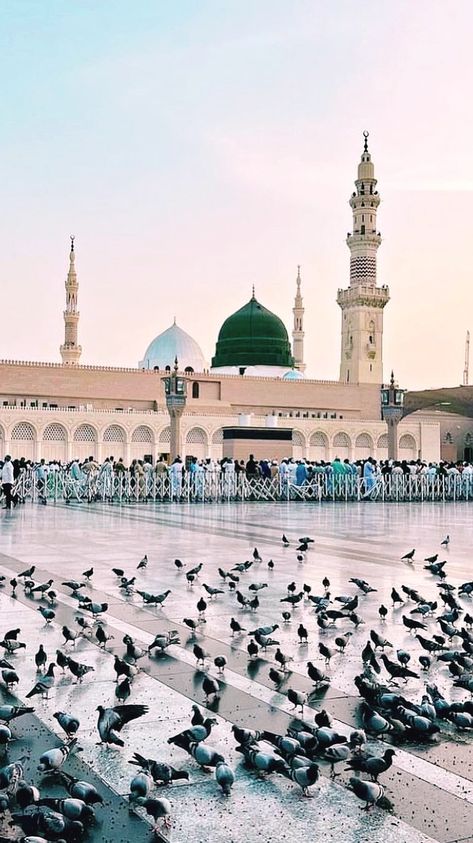 Madina Sharif Beautiful Pic, Mecca Images, Mecca Madinah, Jumma Mubarak Beautiful Images, Milad Un Nabi, Medina Mosque, Mecca Wallpaper, Beautiful Quran Verses, Muslim Pictures