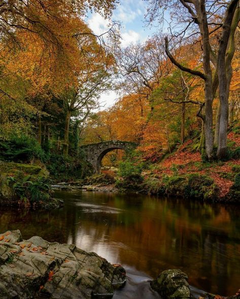 Foley's Bridge | Tollymore Forest Park | Newcastle, Co Down, Northern Ireland | dublincityphotography Tollymore Forest Park, Mourne Mountains Northern Ireland, Northern Ireland Aesthetic, Ireland Forest, Rest Aesthetic, Ireland Aesthetic, Autumn Wallpapers, Belfast Ireland, England Aesthetic