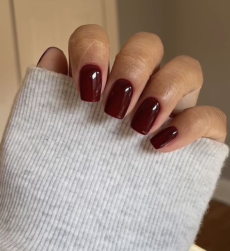 Fall Nail Colors Square, Fall Single Color Nails, Maroon Tapered Square Nails, Fall Nails Rounded Square, Fall/winter Nails Square, Autumn Square Acrylic Nails, Short Nail Inspo Natural, Christmas Nails Square Round, December Nails Square Short