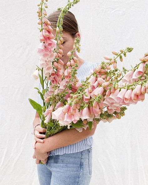 Kent-grown apricot foxgloves in this weeks bunches courtesy of the lovely Sheila at @bluehenflowers 🍑💕 Seasonal Flowers, Apricot, Garden Design, Floral Wreath, Blush, Flowers, Floral, Design