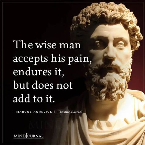 The wise man accepts his pain, endures it, but does not add to it. - Marcus Aurelius #spirital #selfawareness Historical Quotes, Wise Man Quotes, Marcus Aurelius Quotes, Stoicism Quotes, Stoic Quotes, Mean To Be, Vie Motivation, Wise Man, Great Inspirational Quotes