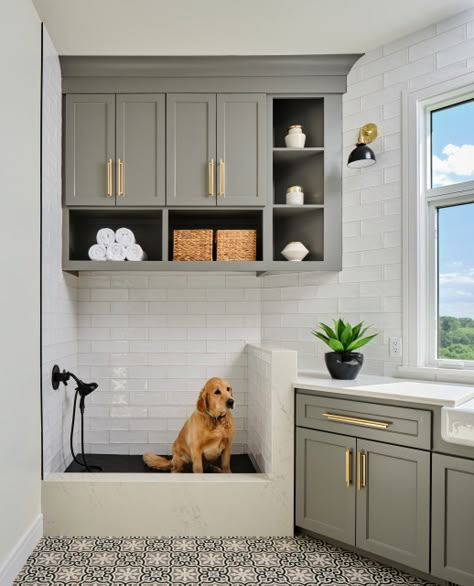 Dog Wash Station, Dog Station, Transitional Laundry Room, Pet Washing Station, Pet Station, Wash Station, Washing Station, Residence Interior, Dog Washing Station