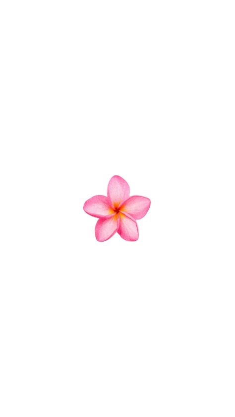 Moana Flower Tattoo, Moana Flower, Cover Highlights, Emoji Stickers Iphone, Beach Flowers, Aesthetic Roses, Flower Iphone Wallpaper, Wallpaper Ipad, Comic Book Pages