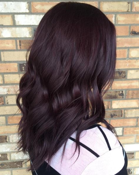 Very Dark Burgundy Brown Hair Dark Burgundy Hair Color, Pelo Color Borgoña, Cherry Brown Hair, Burgundy Brown Hair, Pelo Color Vino, Dark Burgundy Hair, Burgundy Hair Color, Maroon Hair, Black Red Hair