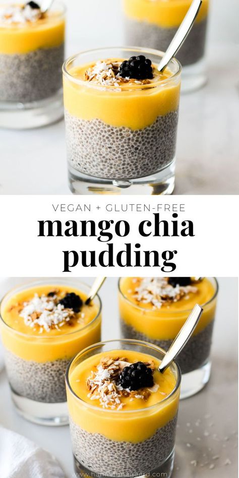 Fibre Breakfast, Chia Pudding Vegan, Chia Puddings, Chia Pudding Recipes Healthy, Mango Chia Pudding, High Fiber Breakfast, Aip Breakfast, Chia Recipe, Sweet Surrender