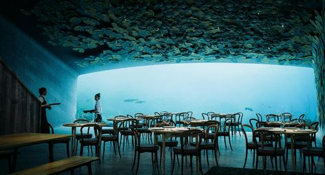 Dine Under the Sea in Norway’s First Underwater Restaurant Kristiansand, Aarhus, Norwegian Architecture, Underwater Restaurant, Artificial Reef, Details Magazine, Under The Water, Earthship, Restaurant Design