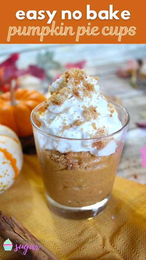 No Cook Pumpkin Dessert, Pumpkin Dessert For One, Pumpkin Shooter Desserts, Pumpkin Pie Pudding Cups, Easy Recipe With Pumpkin Puree, Pumpkin Pie Cups No Bake, Pumpkin Pie Shooters Desserts, Individual Pumpkin Pies In A Cup, Pumpkin In A Cup