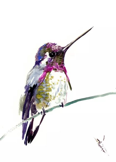 Bird Painting Diy, Hummingbird Pictures, Watercolor Hummingbird, Hummingbird Painting, Painting Purple, Bird Watercolor Paintings, Watercolor Birds, Hummingbird Art, Watercolor Paintings For Beginners