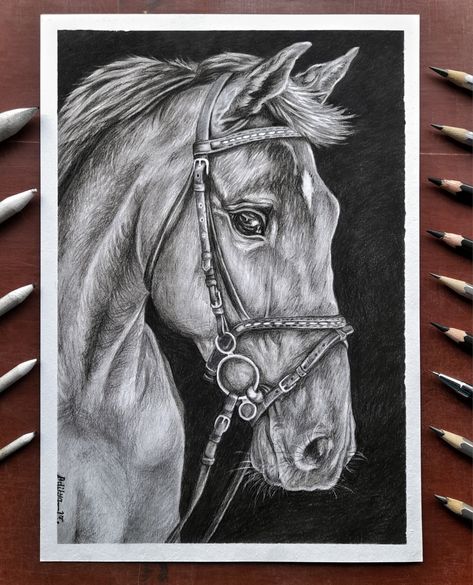 Realistic Horse Sketch, Animal Sketches Realistic, Realistic Animal Drawings, Pencil Sketch Portrait, Pen Art Work, Horse Sketch, Realistic Pencil Drawings, Sketch Portrait, Cool Pencil Drawings