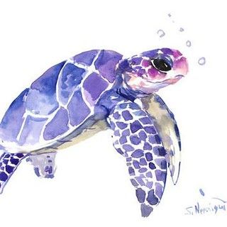 Akvarel Illustration, Turtle Tattoos, Sea Turtle Painting, Turtle Watercolor, Soyut Sanat Tabloları, Turtle Painting, Turtle Art, Seni Cat Air, Lukisan Cat Air