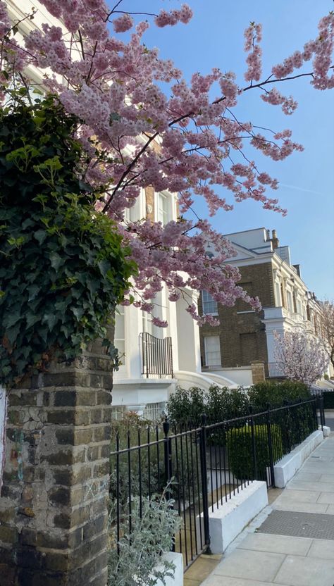 London Chelsea Aesthetic, Spring In London Aesthetic, Kensington And Chelsea Aesthetic, Made In Chelsea Aesthetic, Chelsea London Aesthetic, London Spring Aesthetic, Chelsea Aesthetic, London Moodboard, Chelsea City