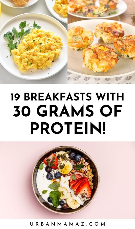 Looking for breakfasts with 30 grams of protein? Check out this list of 19 high protein breakfast ideas that will keep you fueled all day long. Healthy Breakfast Ideas College, Ambitious Kitchen Breakfast, Macros Diet Recipes Breakfast, Breakfast For Muscle Gain Women, College Nutritionist Breakfast, Glp1 Breakfast Ideas, Breakfast Protein Powder Recipes, Protein High Breakfast, High Protein Ingredients List