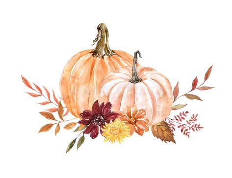 Fall Illustration, Pumpkin Floral Arrangements, Background Orange, Pumpkin Arrangements, Rustic Orange, Pumpkin Flower, Thanksgiving Card, Fall Wall Decor, Watercolor Tips