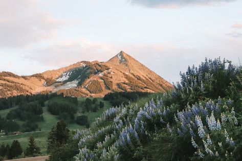 Crested Butte, The Mountains Are Calling, Nature Aesthetic, Pretty Places, In The Mountains, Travel Aesthetic, Nature Photos, Beautiful World, Granola