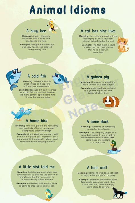 Animal Idioms With Meaning and Examples Jobs With Psychology Degree, English Idioms With Meaning, Animal Idioms, Good Idioms, Informative Speech Topics, English Activity, Grammar Notes, English Grammar Notes, Letter Reversals