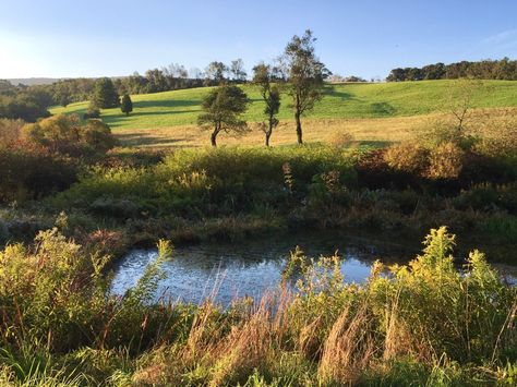 Mid Spring Aesthetic, Late Summer Early Fall, Late Autumn, Mid Summer, Early Autumn, Summer Landscape, Spring Aesthetic, Early Fall, End Of Summer