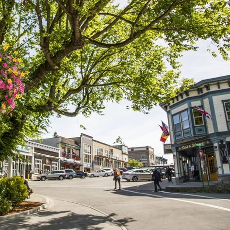 Friday Harbor Frequently Asked Questions Friday Harbor Washington, Roche Harbor, Friday Harbor, Small Town America, Front Street, San Juan Islands, Pacific Northwest, Small Towns, North West