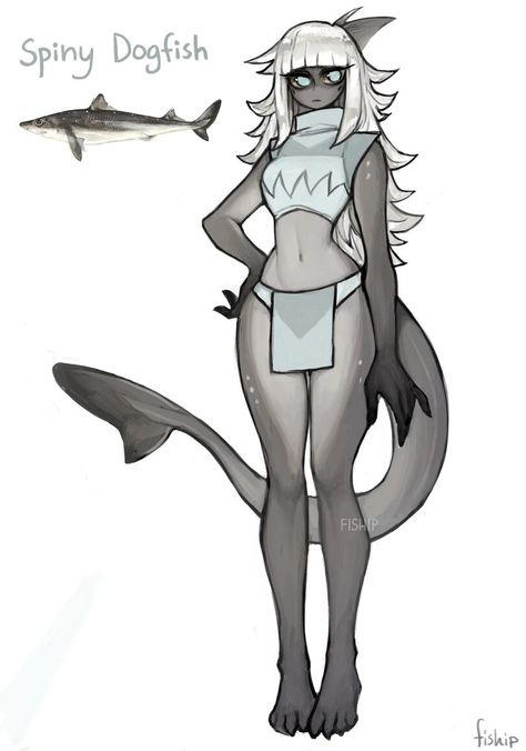 Spiny Dogfish, Shark Drawing, Shark Girl, Monster Girl, Drawing Base, Creature Design, Creature Art, Cartoon Art Styles, Art Reference Poses