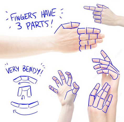 Dessiner les doigts How To Draw Fingers, Hands Tutorial, Male Figure Drawing, Draw Hands, Hand Drawing Reference, Hand Reference, Figure Drawing Reference, Anatomy Reference, Drawing Practice