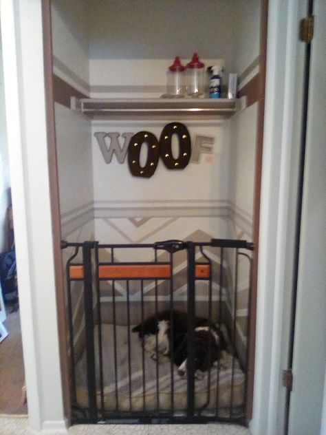 closet transfornation Dog Kennel In Closet Ideas, Dog Room Closet Ideas, Dog Closet Room, Dog Closet Ideas, Morton Homes, Dog Nook, Room Under Stairs, Dog Closet, Pet Room