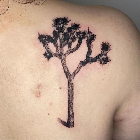 Joshua Tree Tattoo, Vintage Compass Tattoo, Tattoos Western, Window Tattoo, Tattoos Abstract, Clock Tattoos, Plant Tattoos, Western Aesthetics, Rock Tattoo