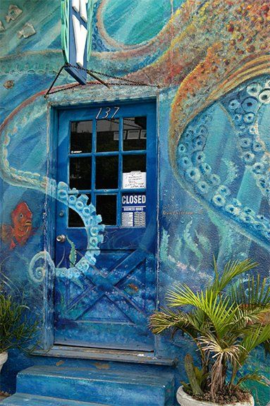 wall mural of ocean Ocean Bedroom, Ocean Mural, Door Painting, Bedroom Door, Ocean Creatures, Beautiful Doors, Mural Painting, Painted Doors, Mural Art