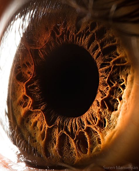 These are totally insane. Amazingly Revealing Macro Photos of the Human Eye Macro Fotografia, Foto Macro, Realistic Eye Drawing, Photo Macro, Eye Close Up, Photos Of Eyes, Extreme Close Up, Realistic Eye, Macro Shots