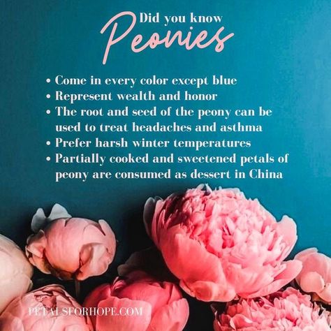 Peony Colors Chart, Colors Of Peonies, Peonies Quotes, Peony Symbolism, Peony Quotes, Peonies Colors, Peony Flower Meaning, Peony Meaning, Peony Varieties