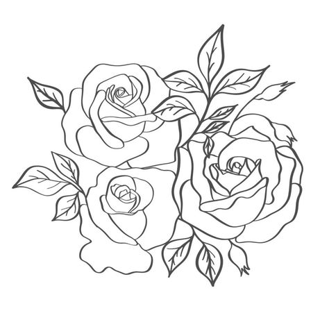 Rose bouquet sketch. Black outline on white background. Vector illustration. Rose Bouquet Sketch, Rose Vector Design, Rose Bouquet Drawing, Bouquet Sketch, Rose Outline, Rose Sketch, Hand Tats, Rose Illustration, Outline Designs