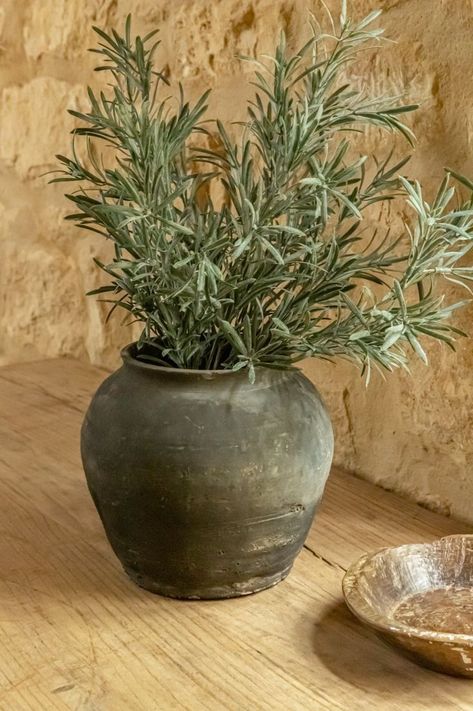 Rustic Pots For Plants, Stone Pots For Plants, English Countryside Decor, Art Deco Plant, Potted Olive Tree, Rustic Pots, Plant Accessories, Phone Wallpaper Boho, Rustic Planters