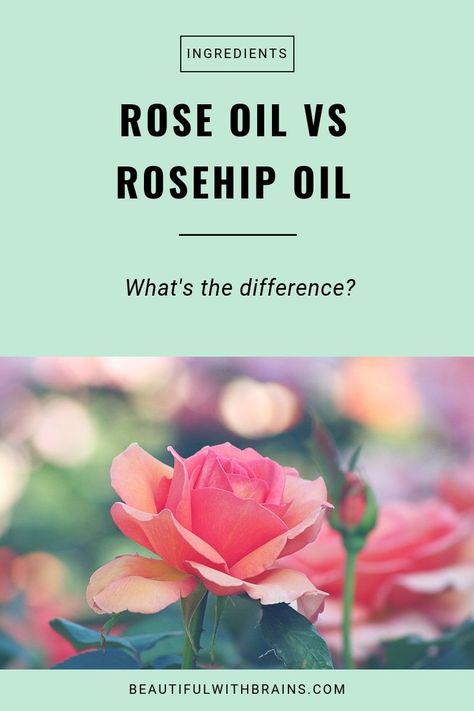 Rose Oil Diy, Rose Oil Benefits, Rose Oil For Skin, Rosehip Oil Benefits, Asian Skin, Rose Absolute, Korean Skin, Rose Essential Oil, Best Essential Oils