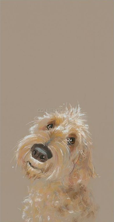 강아지 그림, Doodle Dog, Watercolor Dog, Arte Inspo, Dog Illustration, Dessin Adorable, Arte Animal, Dog Drawing, Dog Paintings